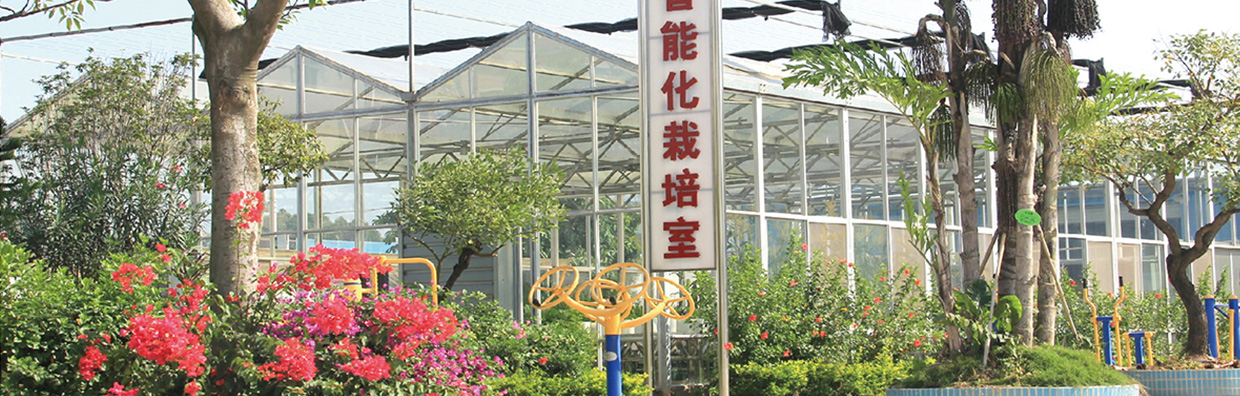 研發實力 研發實力
