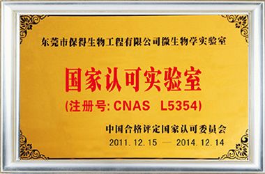 研發實力 研發實力
