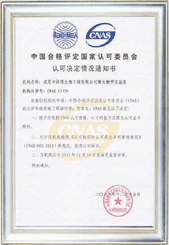研發實力 研發實力