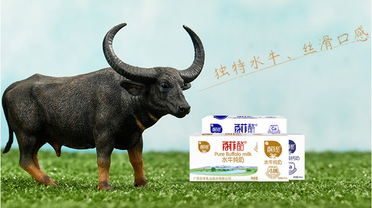 百菲乳業 百菲乳業