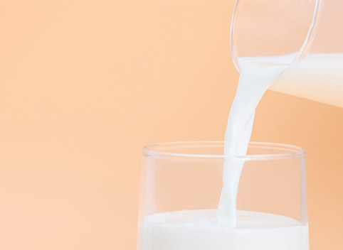 百菲乳業