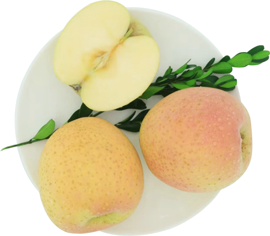 悅多果業(yè)