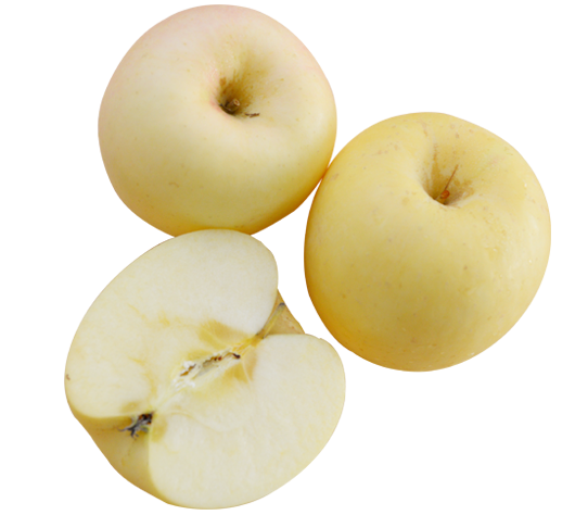 悅多果業(yè)