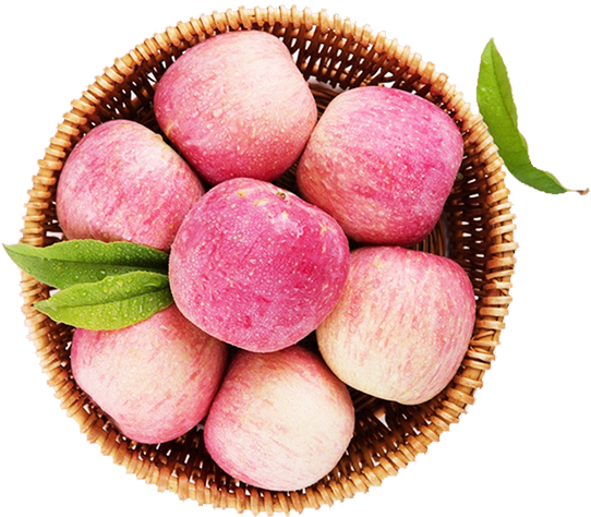 悅多果業(yè)