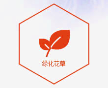 富萊花卉