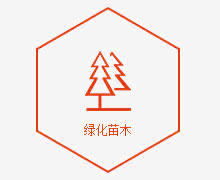 富萊花卉