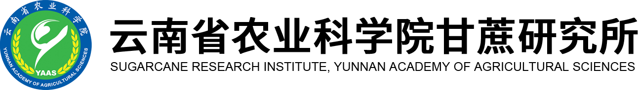 這是描述信息