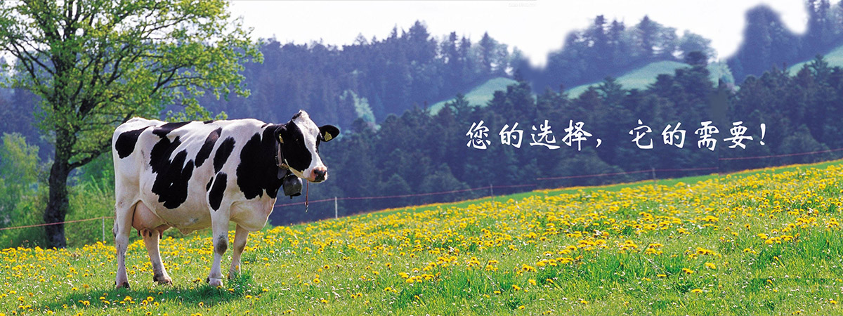 反芻營(yíng)養(yǎng)