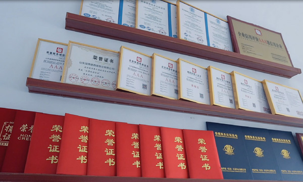 山東淄博德西瑞泵業有限公司 山東淄博德西瑞泵業有限公司
