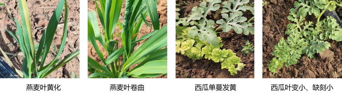 這是描述信息 這是描述信息