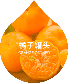 雨蝶