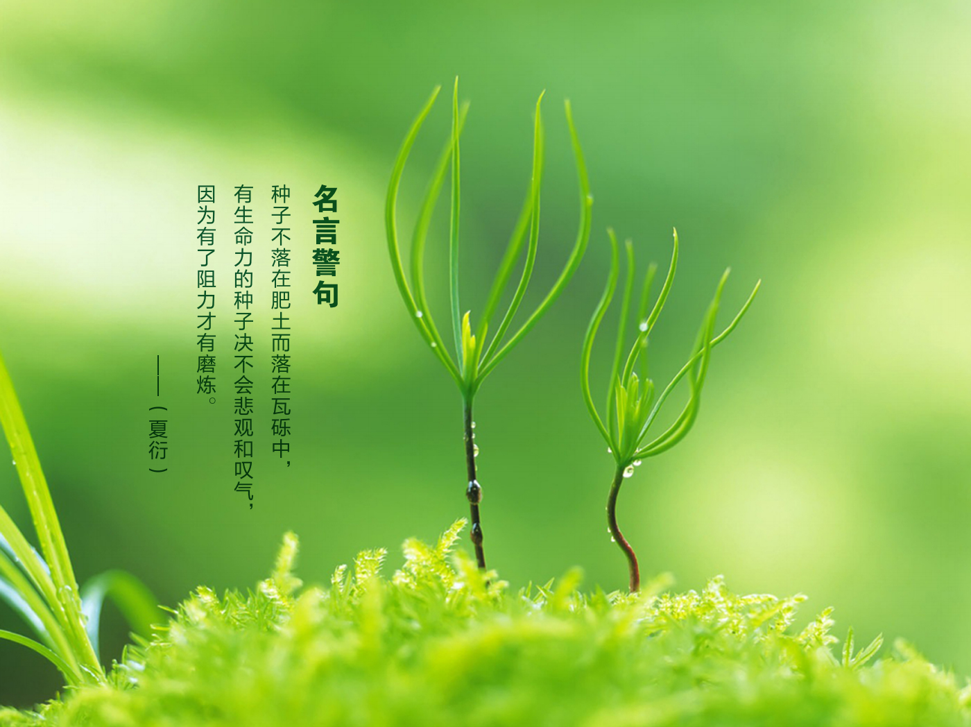 這是描述信息 這是描述信息
