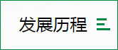 發(fā)展歷程