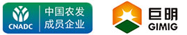 这是描述信息