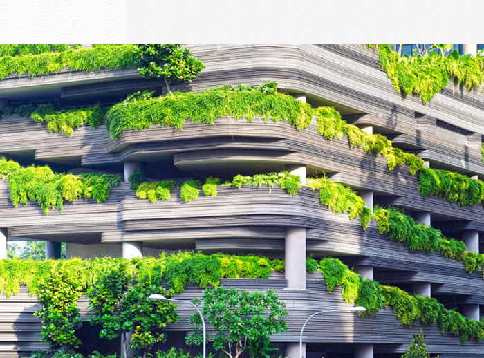 深圳市翠箓科技綠化工程有限公司 深圳市翠箓科技綠化工程有限公司