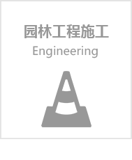 yh818银河