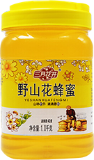 這是描述信息