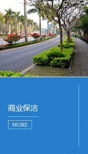 这是描述信息