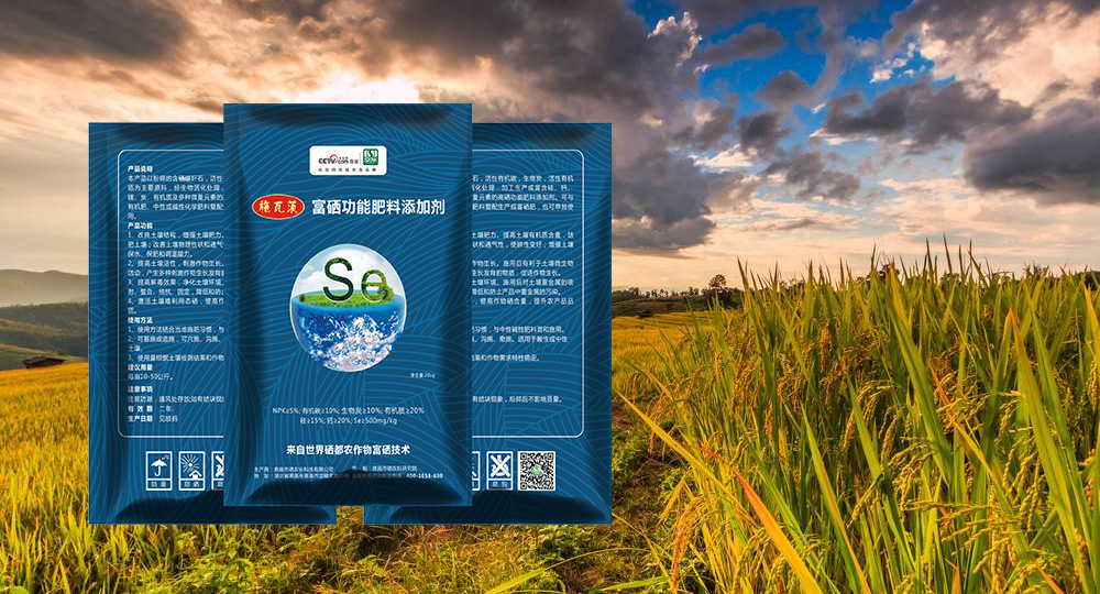 施瓦茨集团 施瓦茨集团