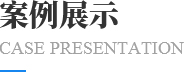 案例展示 案例展示