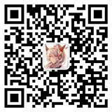 掃一掃添加微信