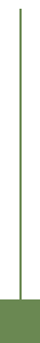 點(diǎn)綴