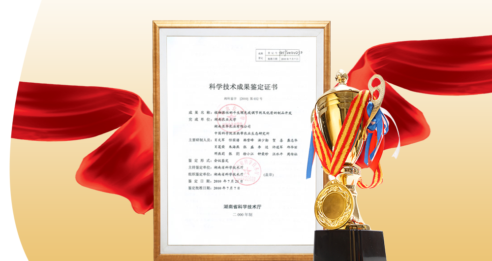 營銷網絡