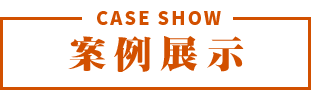 案例展示