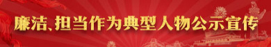 专题专栏
