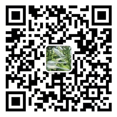 微信咨詢