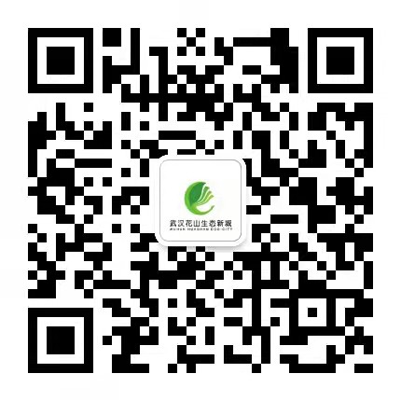 武漢花山生態新城投資有限公司