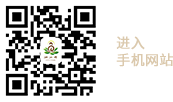 手機網站
