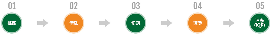 青島切菜網食品有限公司