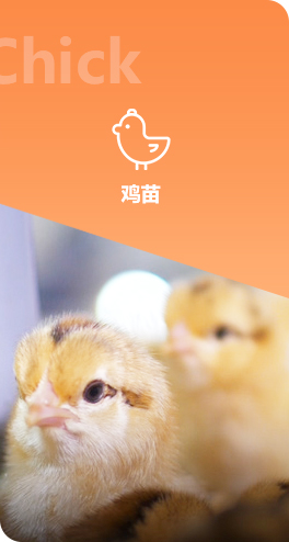 香蕉视频污污污农牧