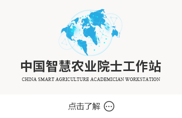 点击了解