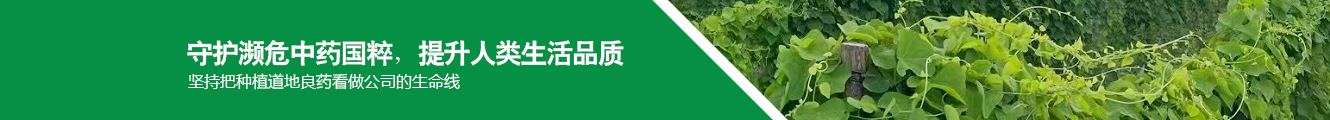這是描述信息