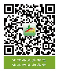 東莞信興塑膠制品有限公司