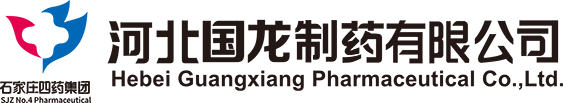 河北国龙制药有限公司 