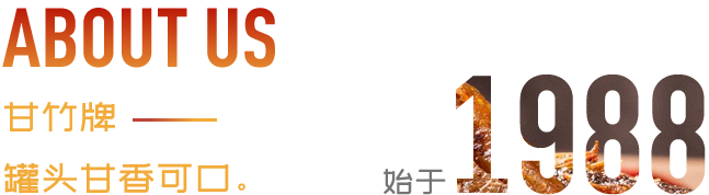 关于我们 关于我们