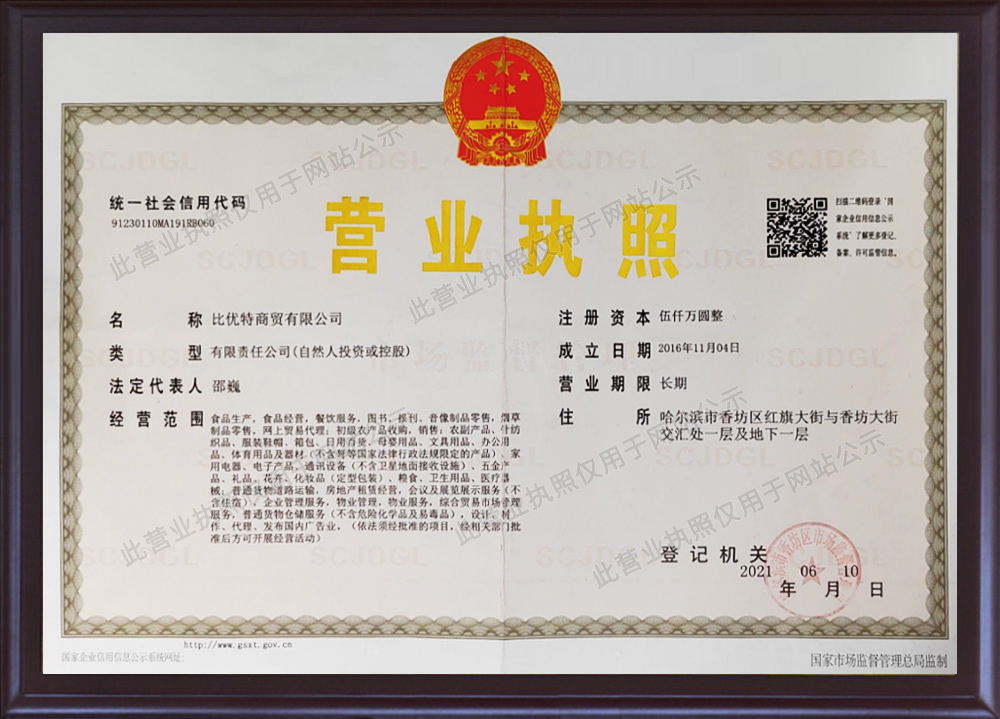 執照 執照