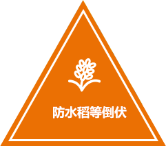 imgboxbg