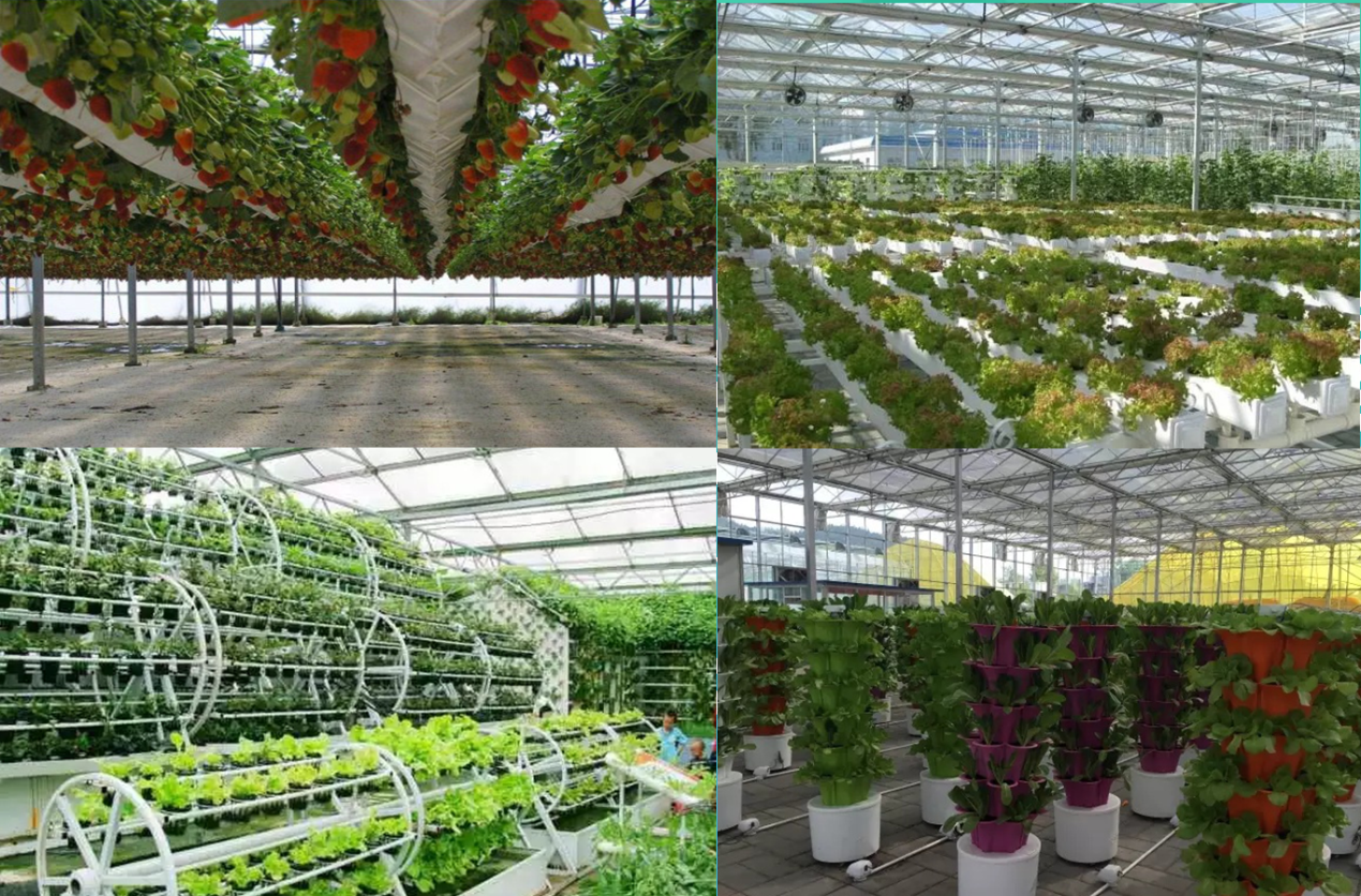這是描述信息 這是描述信息
