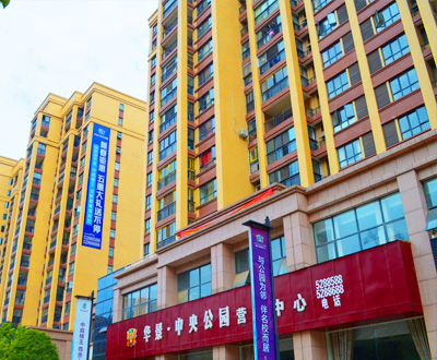 核心团队 核心团队
