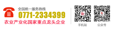 國(guó)泰糧食集團(tuán)