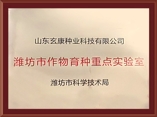 xingwang