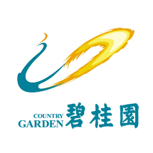 合作伙伴