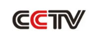 cctv cctv