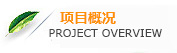 豐葉