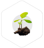 這是描述信息