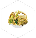 這是描述信息